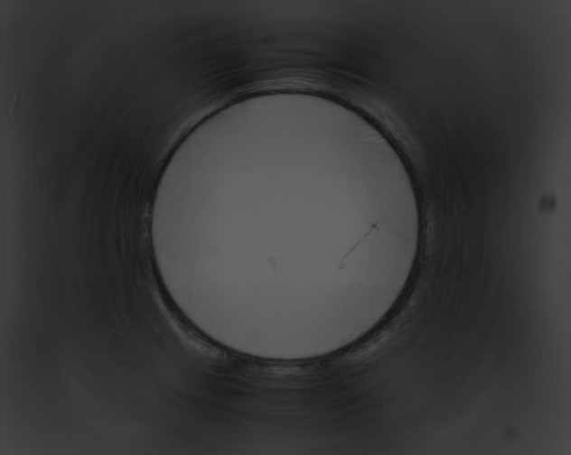 X0000091861233200710031034