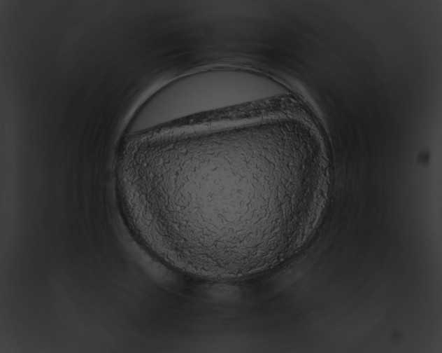 X0000091861235200710031034