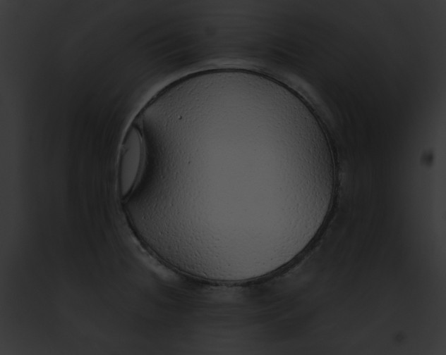 X0000091861236200710031034