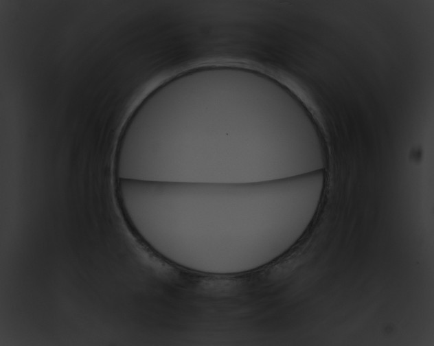 X0000091861237200710031034