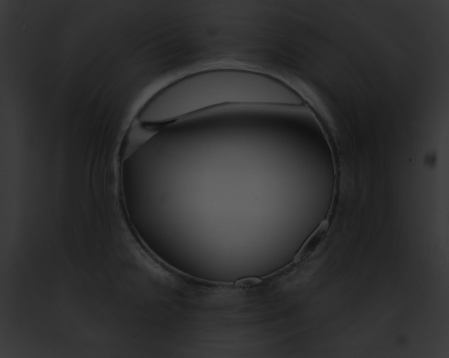 X0000091861238200710031034