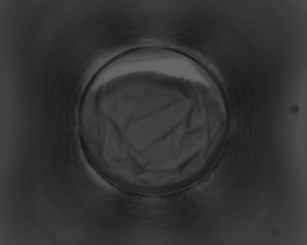 X0000091861239200710031034