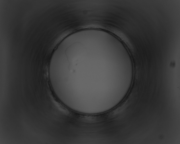 X0000091861241200710031034