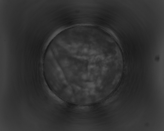 X0000091861243200710031034