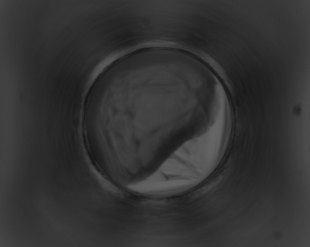 X0000091861245200710031034