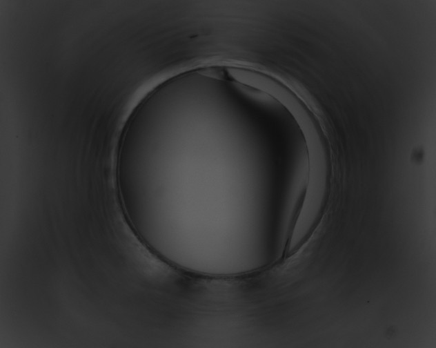 X0000091861246200710031034