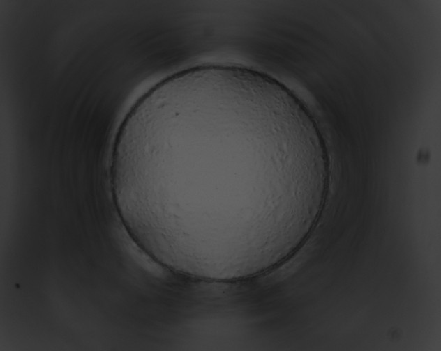 X0000091861248200710031034