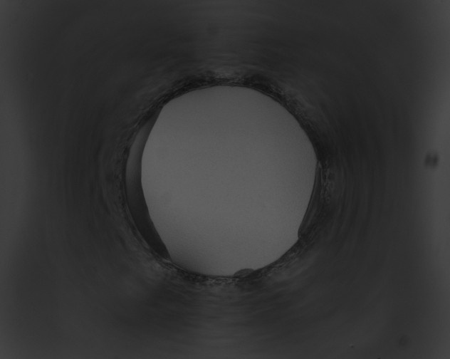 X0000091861249200710031033