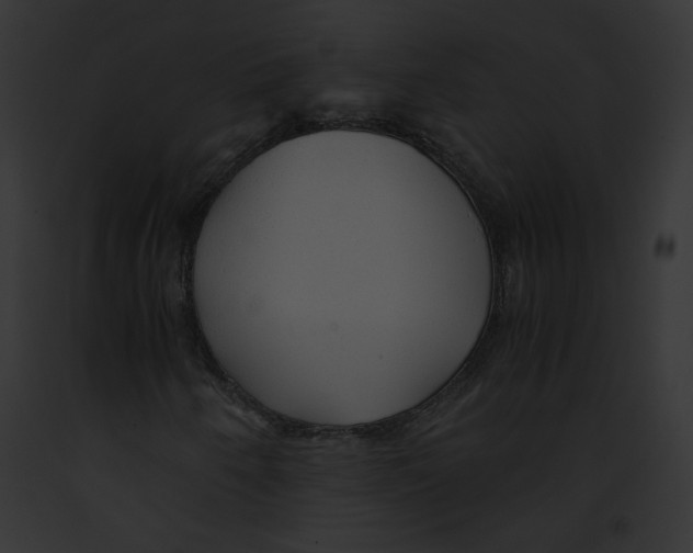 X0000091861250200710031033