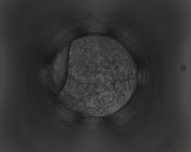 X0000091861251200710031033