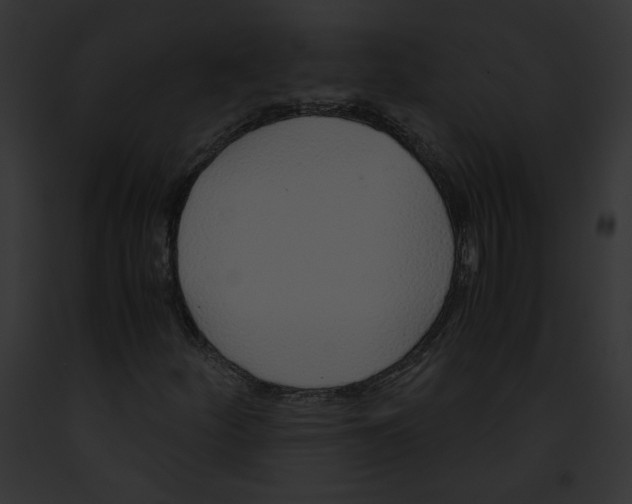 X0000091861252200710031033