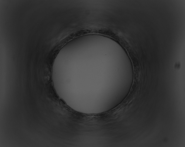 X0000091861253200710031033