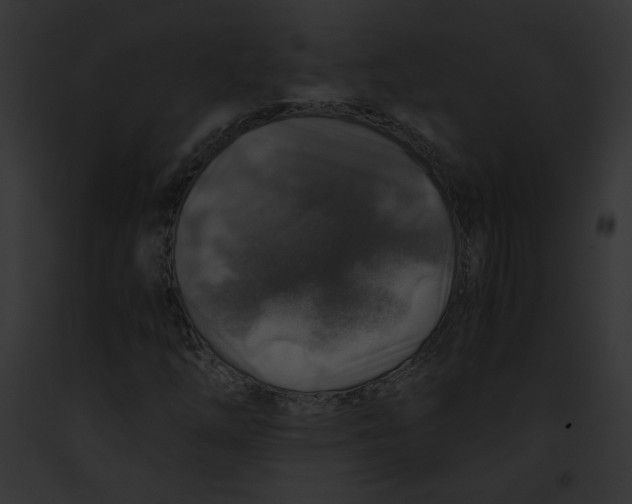 X0000091861254200710031033