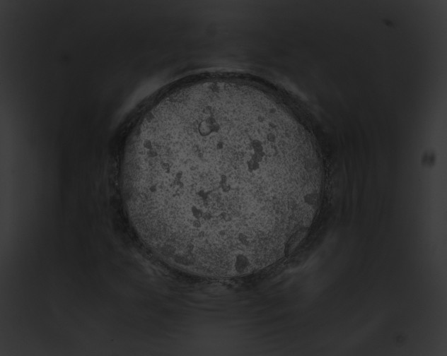 X0000091861255200710031033