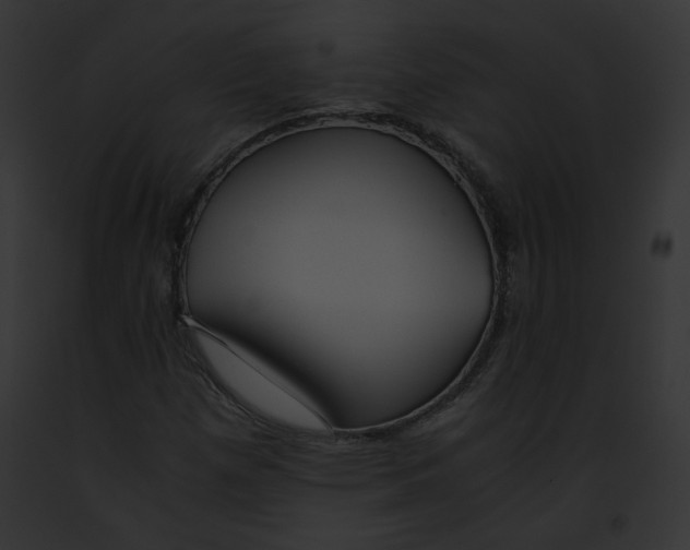 X0000091861257200710031033