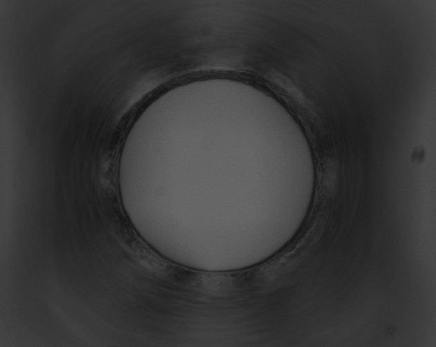 X0000091861258200710031033