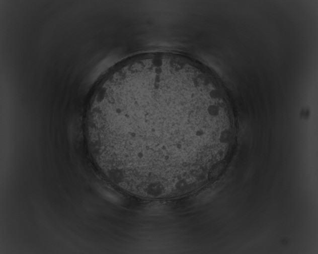 X0000091861259200710031033