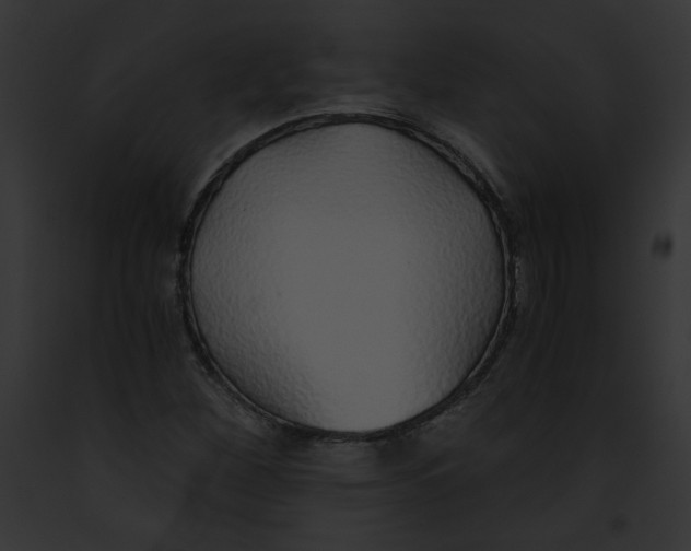 X0000091861260200710031033