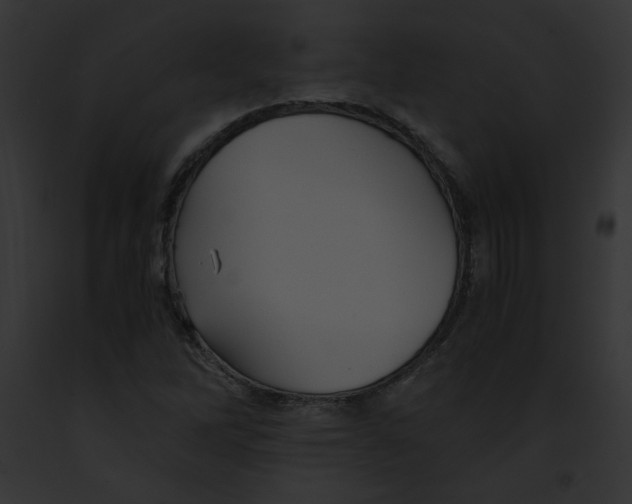 X0000091861262200710031033