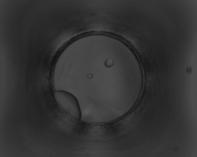 X0000091861263200710031033