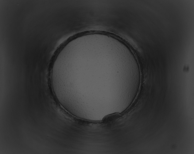 X0000091861264200710031033