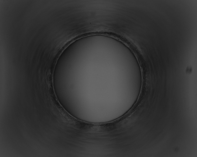 X0000091861265200710031033