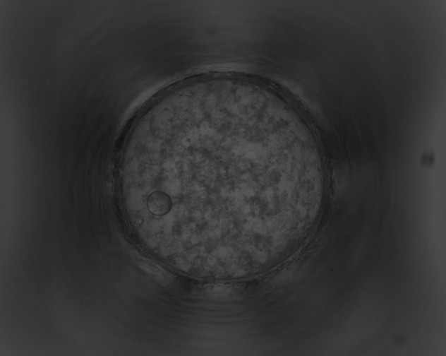 X0000091861266200710031033