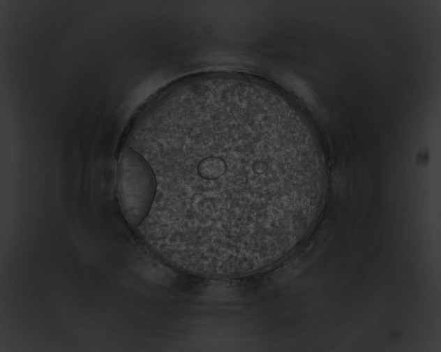 X0000091861267200710031033