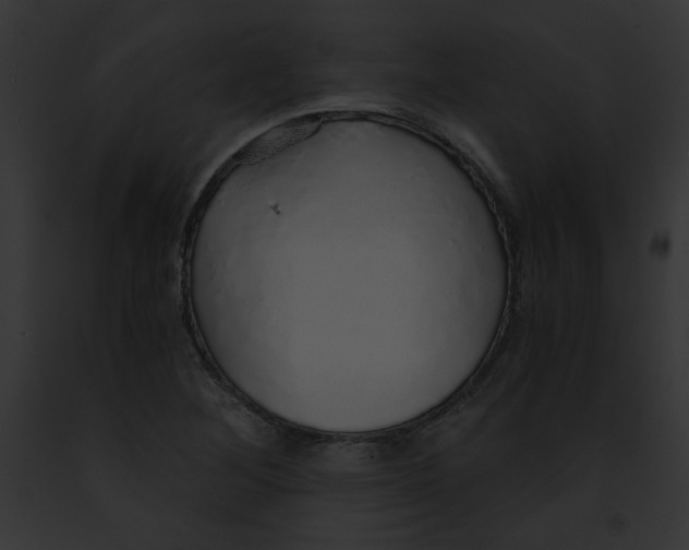 X0000091861268200710031033