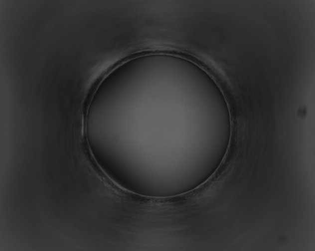 X0000091861269200710031033