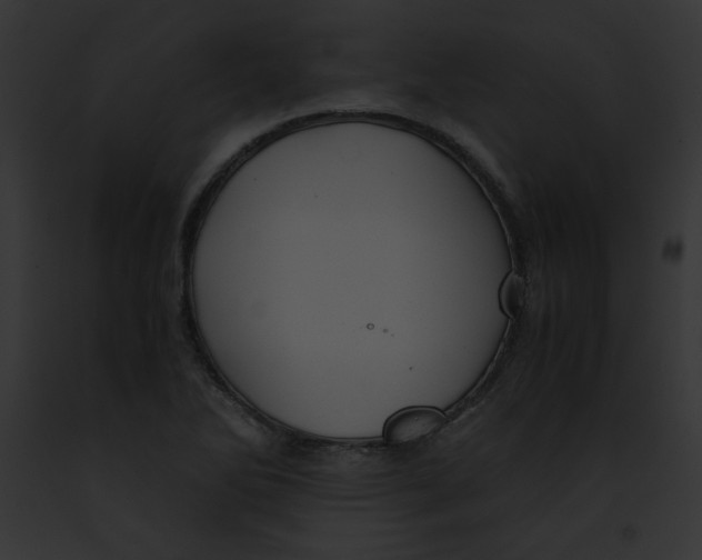 X0000091861270200710031033