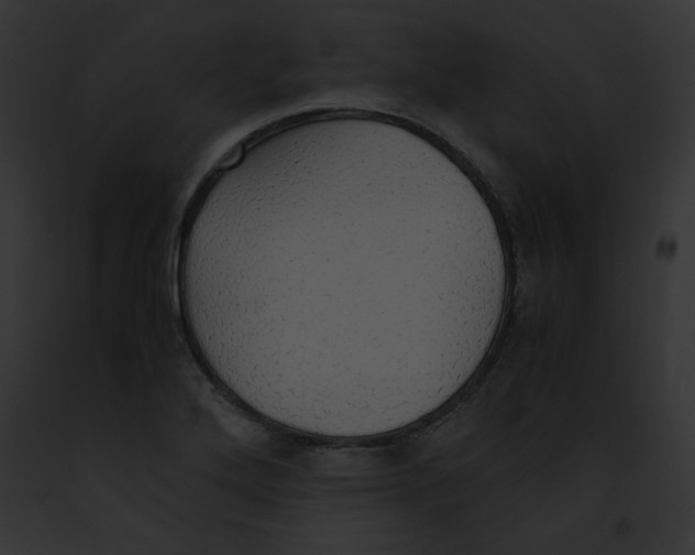 X0000091861272200710031033