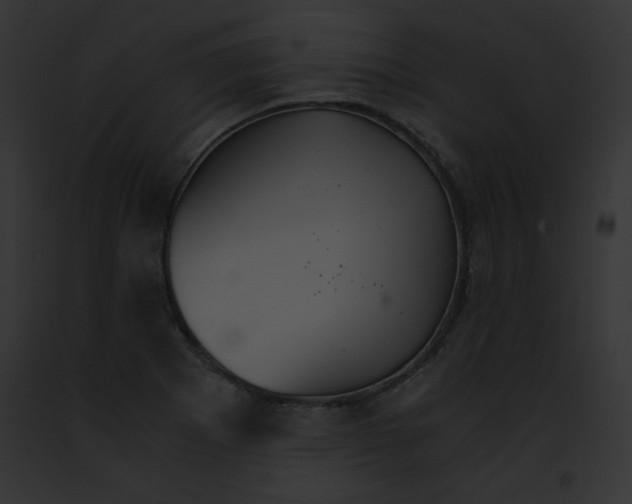 X0000091861273200710031033