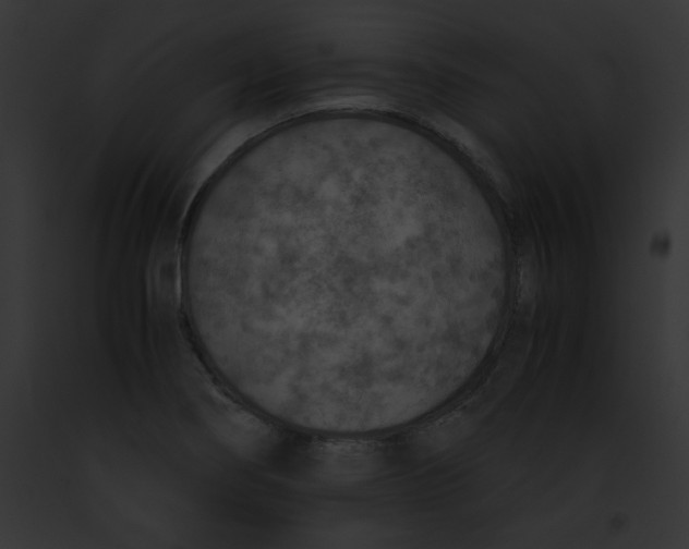 X0000091861274200710031033