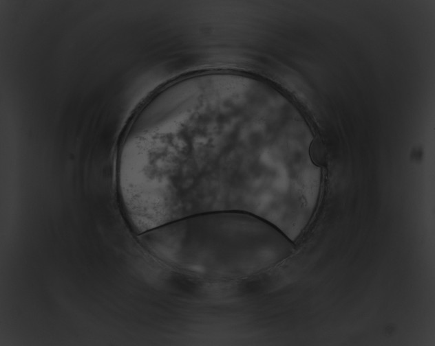 X0000091861275200710031033