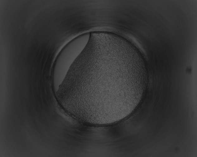 X0000091861276200710031033