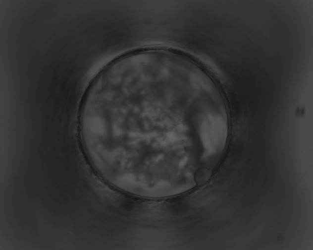 X0000091861279200710031033