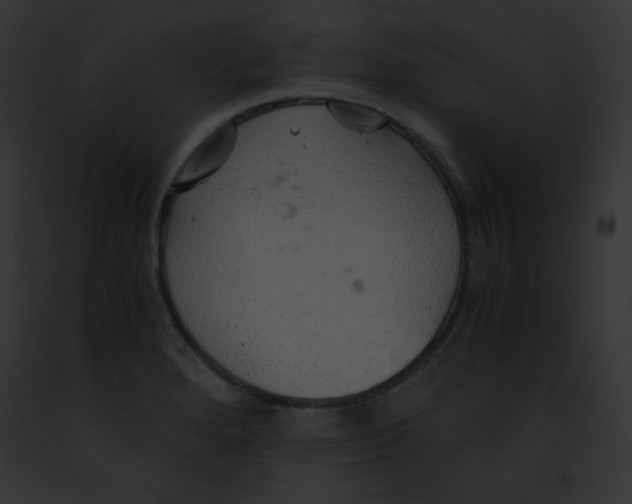 X0000091861280200710031033