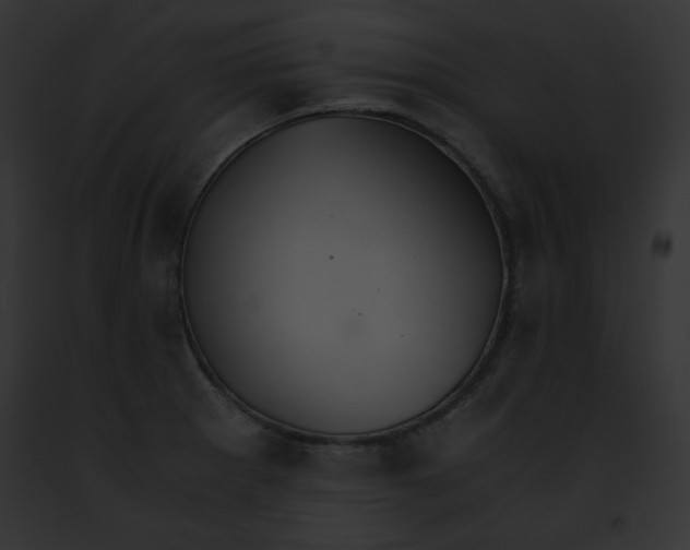 X0000091861281200710031033