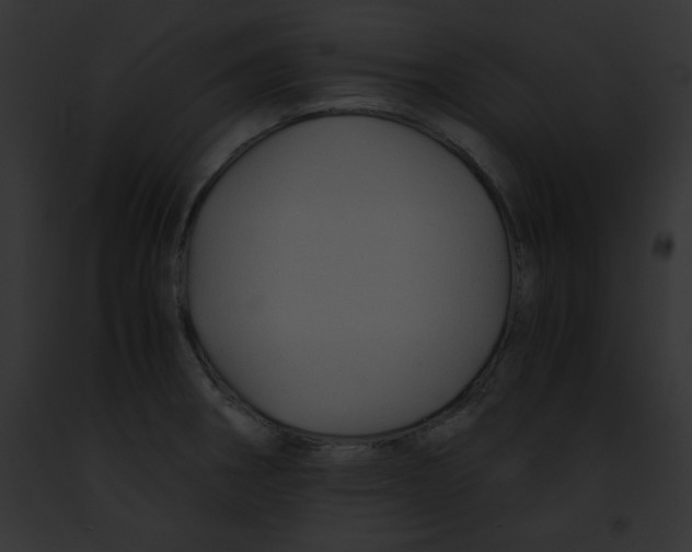 X0000091861282200710031033