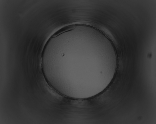 X0000091861284200710031033