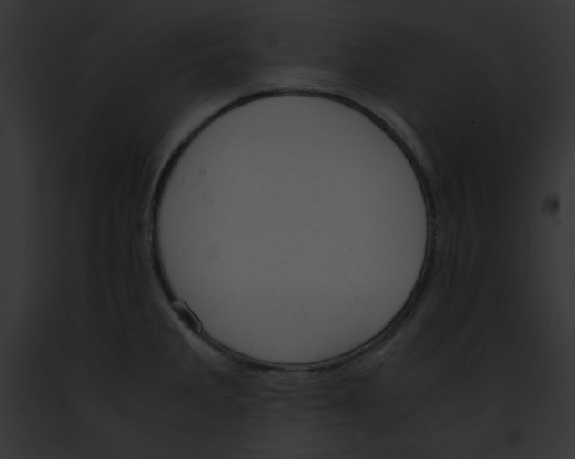 X0000091861285200710031033