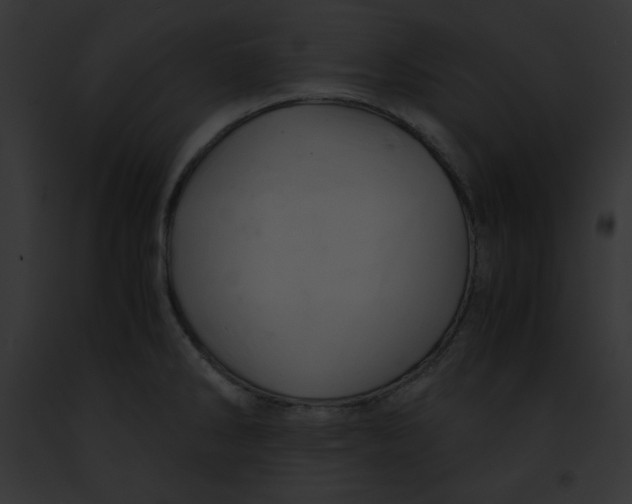 X0000091861286200710031033