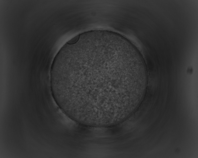 X0000091861287200710031033