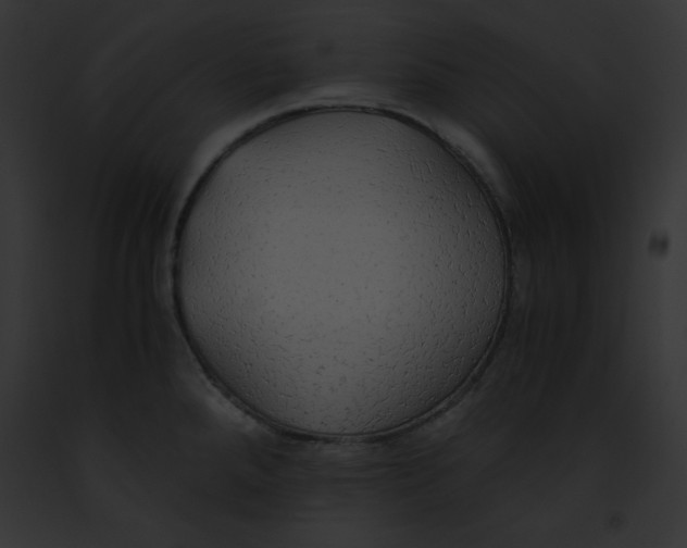 X0000091861288200710031033