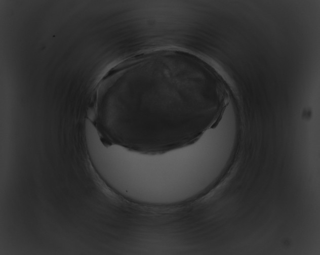 X0000091861289200710031032