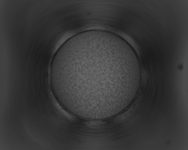 X0000091861290200710031032