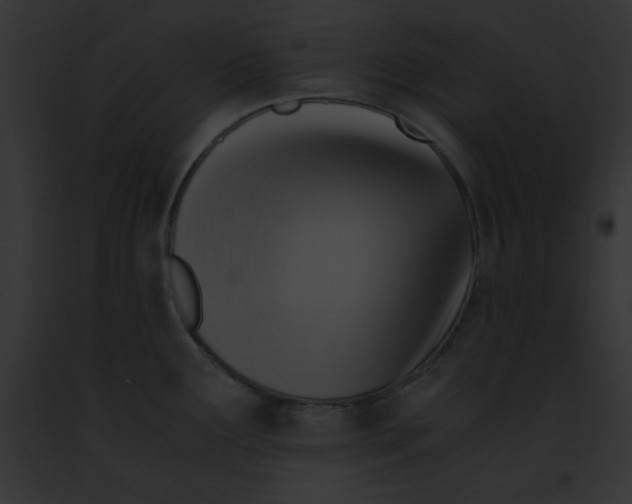 X0000091861291200710031032