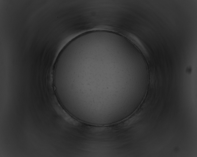 X0000091861292200710031032