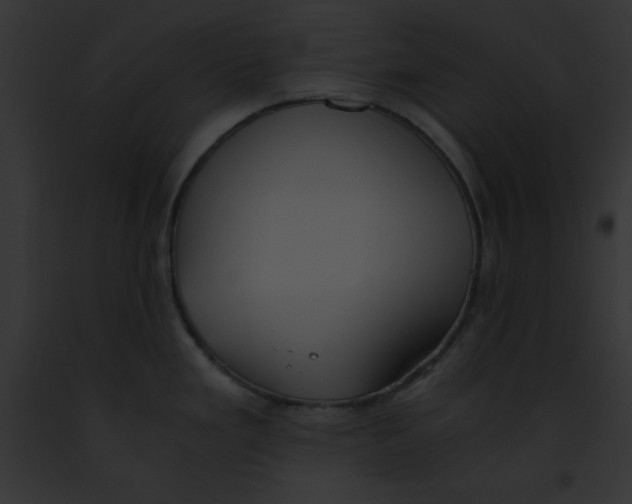 X0000091861293200710031032